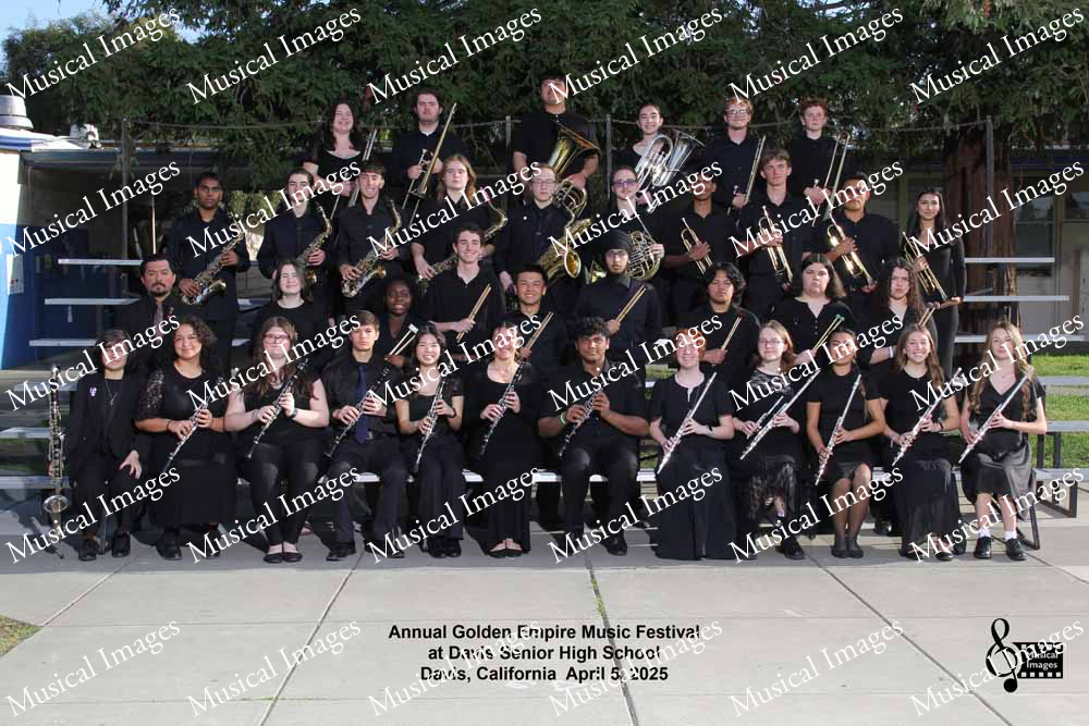 Musical Images
